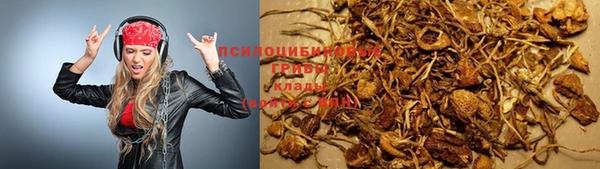 MDMA Козловка