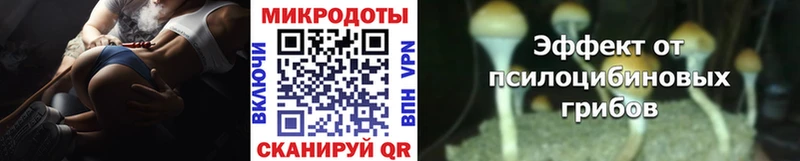 Купить где  Кувандык  Галлюциногенные грибы прущие грибы 